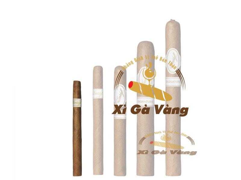 Hình thức của xì gà Davidoff Signature Exquisitos